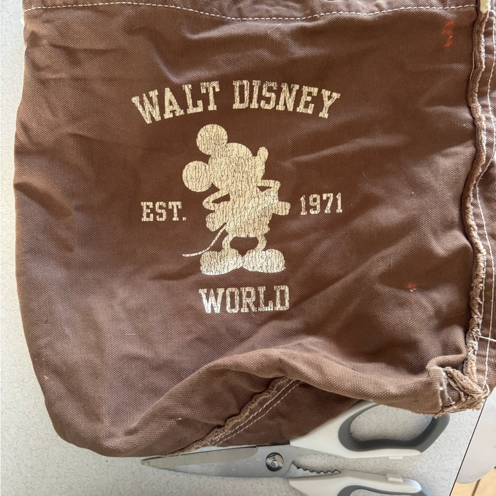 Walt Disney World 1971 Heavy Duty Canvas Tote Bag Brown